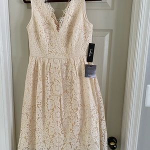 Lulus lace blush skater dress, size M.